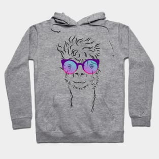 cute hipster llama in trendy colorful glasses Hoodie